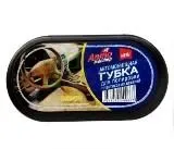 Губка с пропиткой для пластика Морская свежесть
