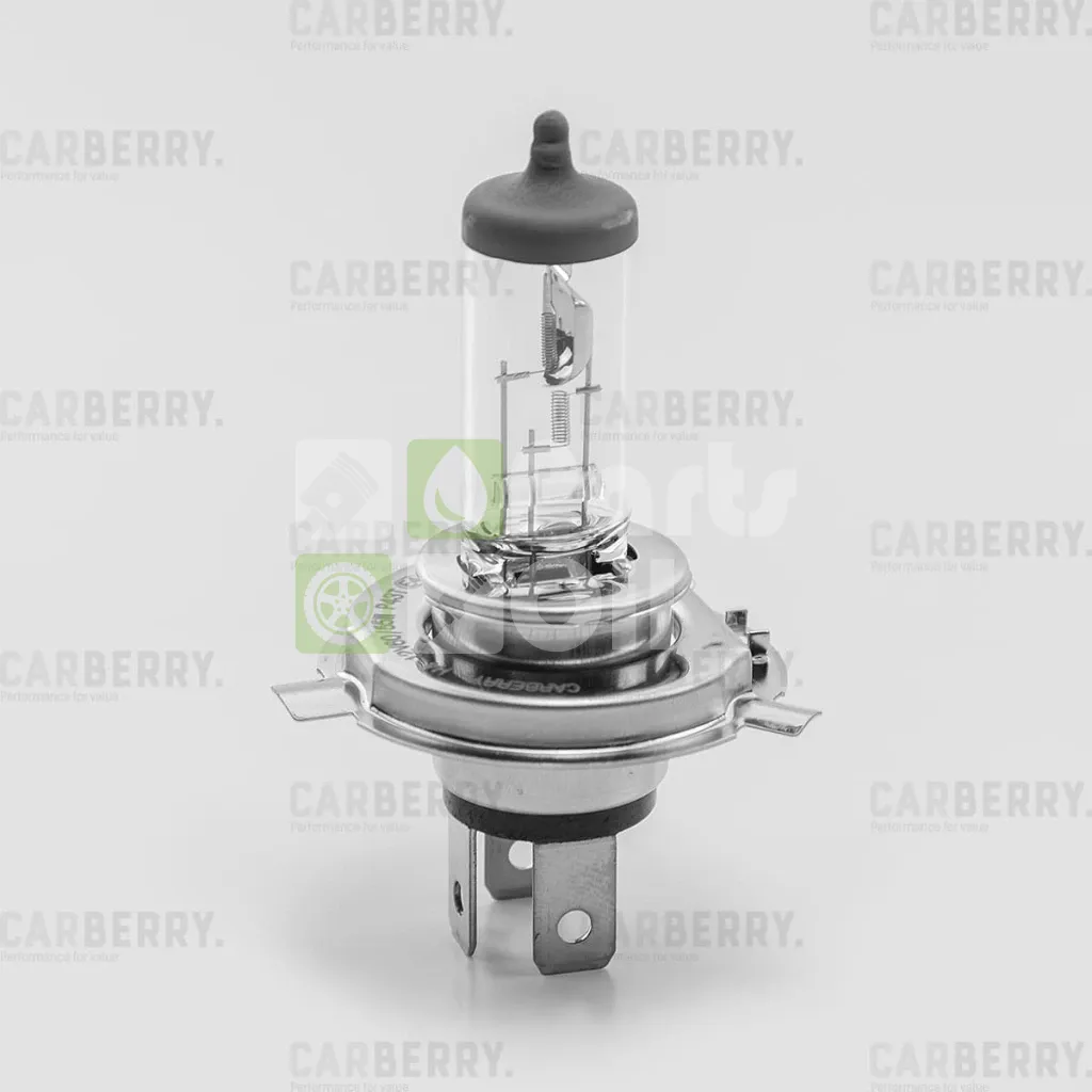 Лампа галогенная Carberry Day&Night H4 12V 6055W, 1