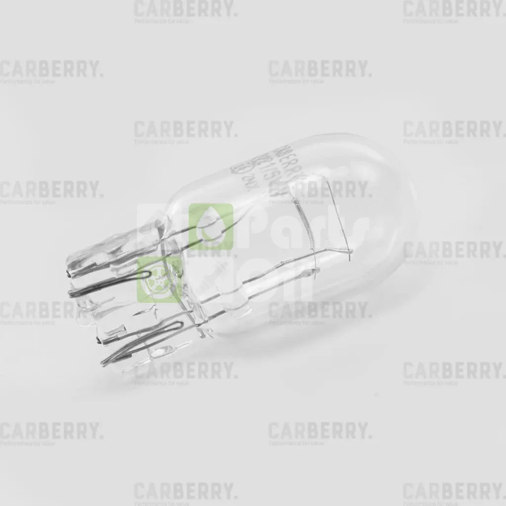 Лампа подсветки Carberry Day&Night 32CA10 W215W 12V 215W, 1