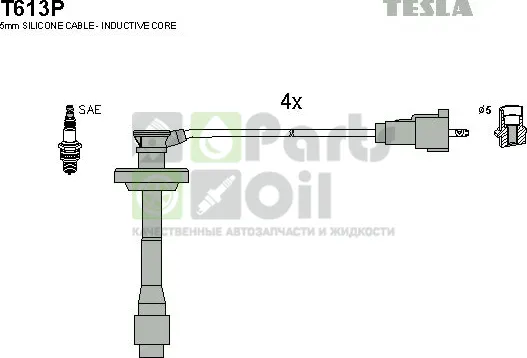 Высоковольтные провода провода зажигания комплект Tesla для Toyota Avensis I 2000-2003. Артикул T613P