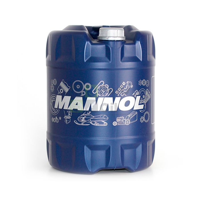 Моторное масло Mannol Outboard Universal 10 л